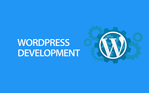 Introduction to WordPress: A Beginner's Guide to the World's Most Popular CMS R